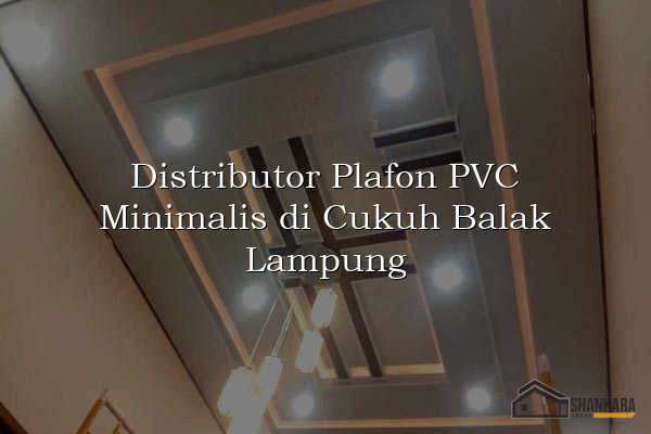 Distributor Plafon PVC Minimalis di Cukuh Balak Lampung