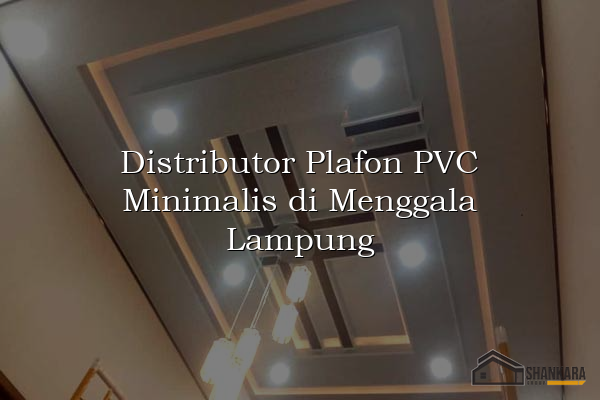 Distributor Plafon PVC Minimalis di Menggala Lampung