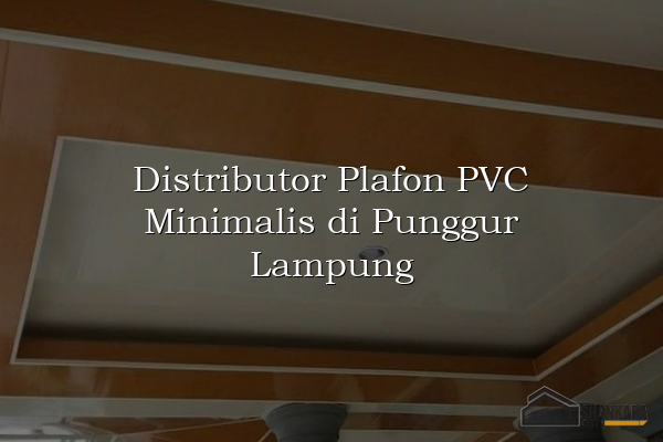 Distributor Plafon PVC Minimalis di Punggur Lampung