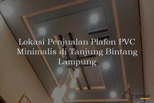 Lokasi Penjualan Plafon PVC Minimalis di Tanjung Bintang Lampung