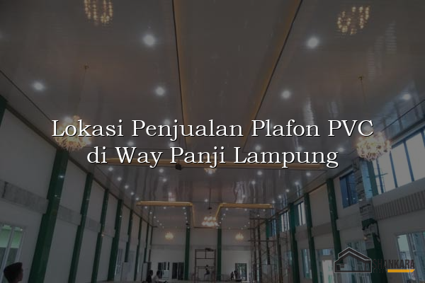 Lokasi Penjualan Plafon PVC di Way Panji Lampung
