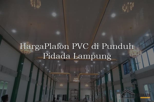 HargaPlafon PVC di Punduh Pidada Lampung