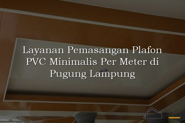 Layanan Pemasangan Plafon PVC Minimalis Per Meter di Pugung Lampung
