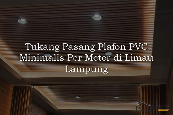 Tukang Pasang Plafon PVC Minimalis Per Meter di Limau Lampung