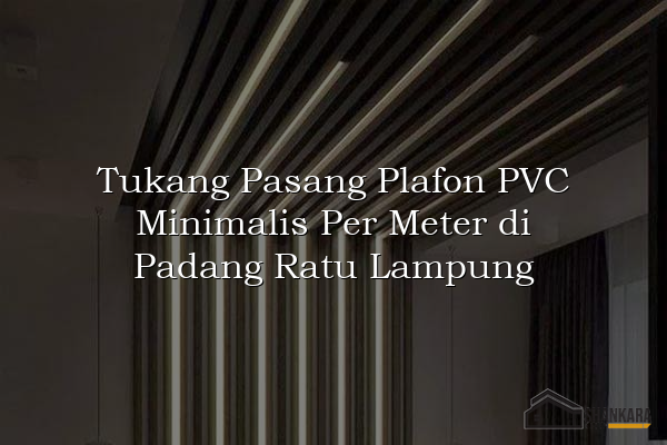 Tukang Pasang Plafon PVC Minimalis Per Meter di Padang Ratu Lampung
