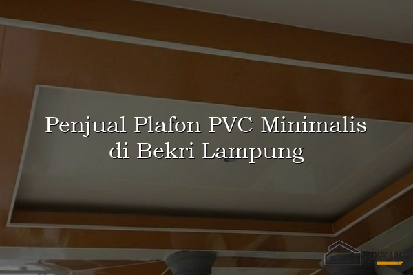 Penjual Plafon PVC Minimalis di Bekri Lampung