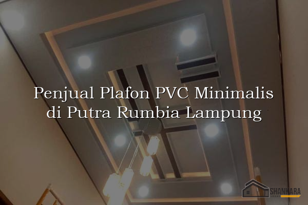 Penjual Plafon PVC Minimalis di Putra Rumbia Lampung