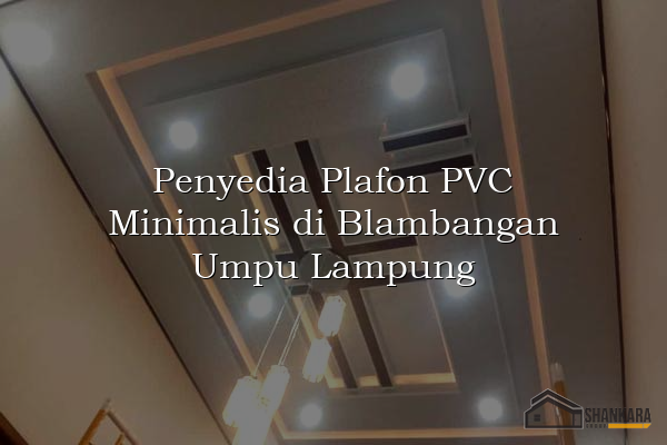 Penyedia Plafon PVC Minimalis di Blambangan Umpu Lampung