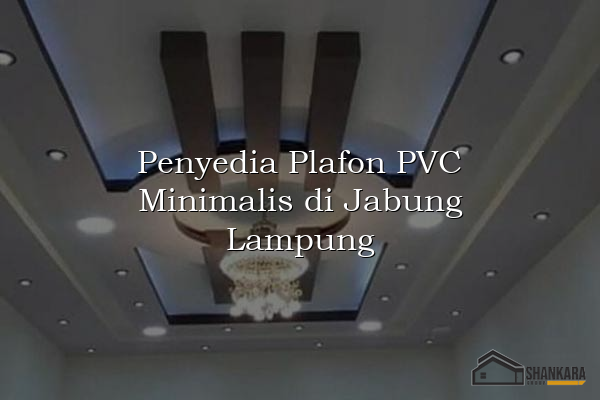 Penyedia Plafon PVC Minimalis di Jabung Lampung