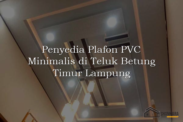 Penyedia Plafon PVC Minimalis di Teluk Betung Timur Lampung