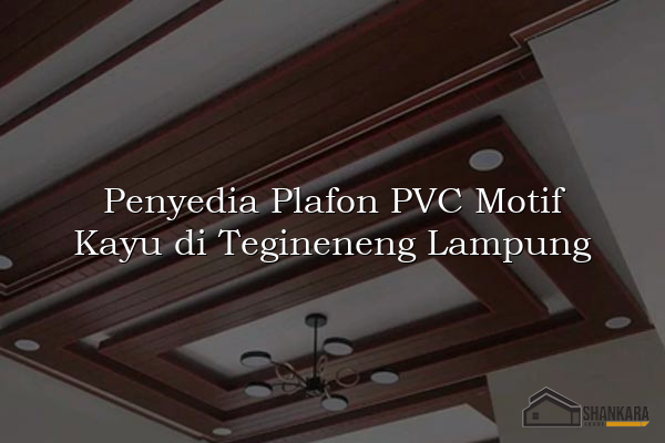 Penyedia Plafon PVC Motif Kayu di Tegineneng Lampung