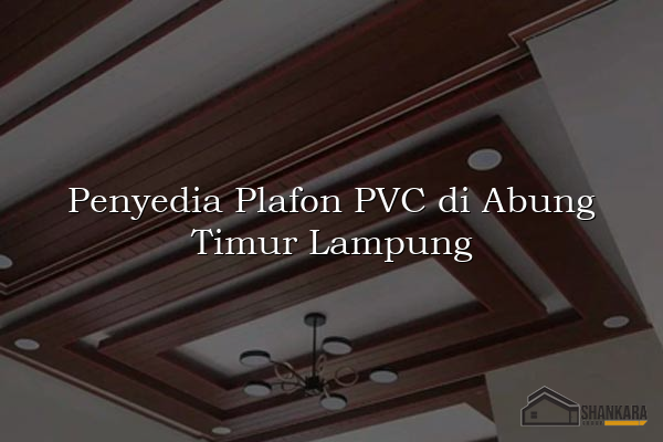 Penyedia Plafon PVC di Abung Timur Lampung