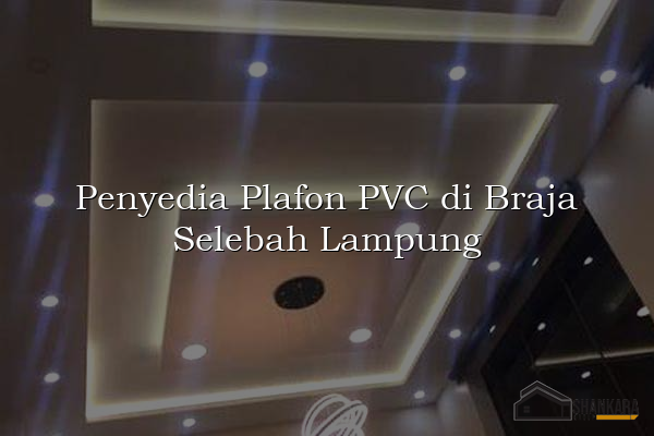 Penyedia Plafon PVC di Braja Selebah Lampung