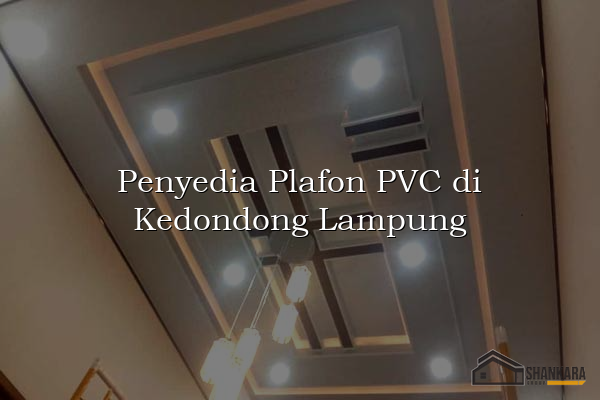 Penyedia Plafon PVC di Kedondong Lampung