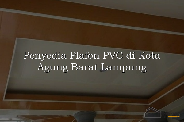 Penyedia Plafon PVC di Kota Agung Barat Lampung