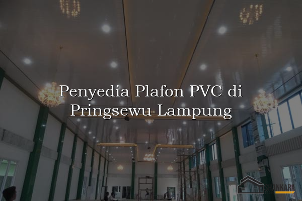 Penyedia Plafon PVC di Pringsewu Lampung