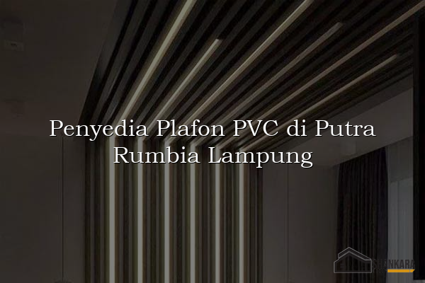 Penyedia Plafon PVC di Putra Rumbia Lampung