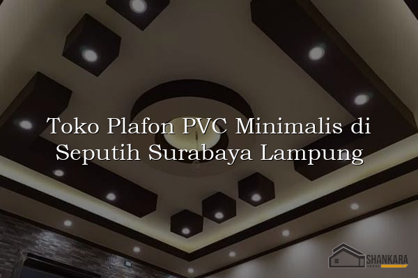 Toko Plafon PVC Minimalis di Seputih Surabaya Lampung