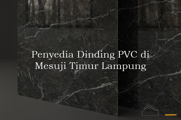 Penyedia Dinding PVC di Mesuji Timur Lampung